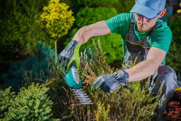 landscaping services Smith Mills